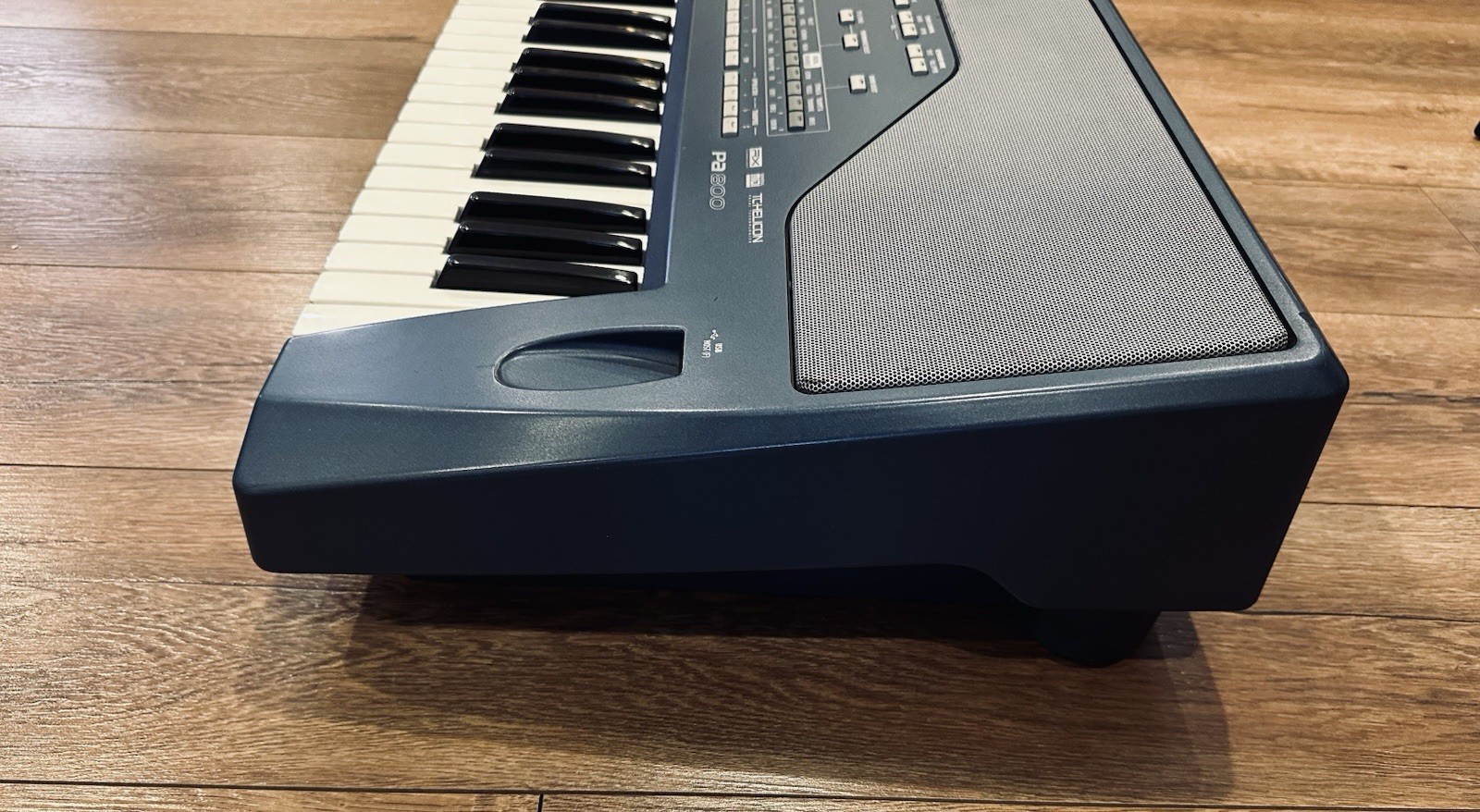 Korg PA-800 Professional Arranger..........#1