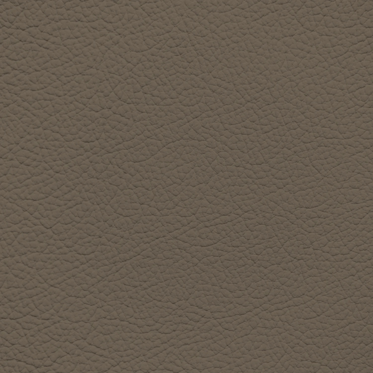 Ford/Lincoln/Mercury Medium Dark Parchment Leather Dye