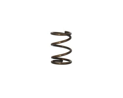 Kingman Spyder Fenix Bolt Locking Spring (VBT004) (16170)