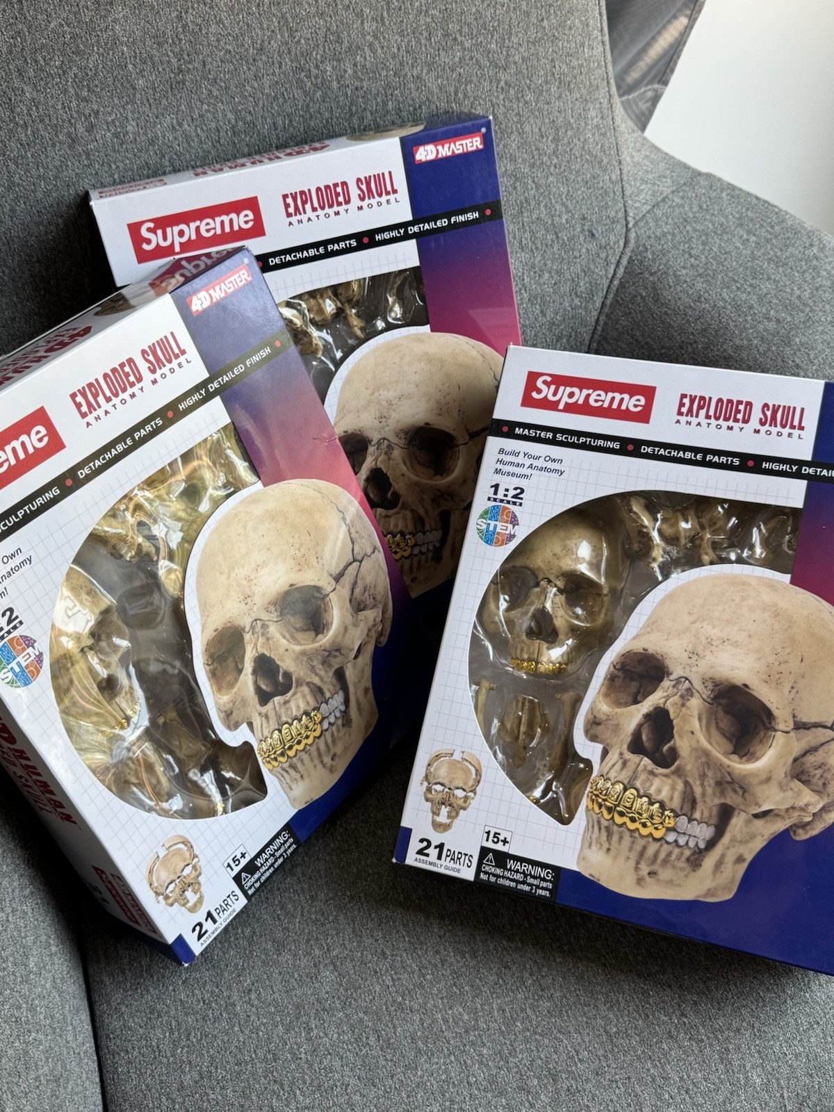 Supreme 4D Model Human Skull BRAND NEW