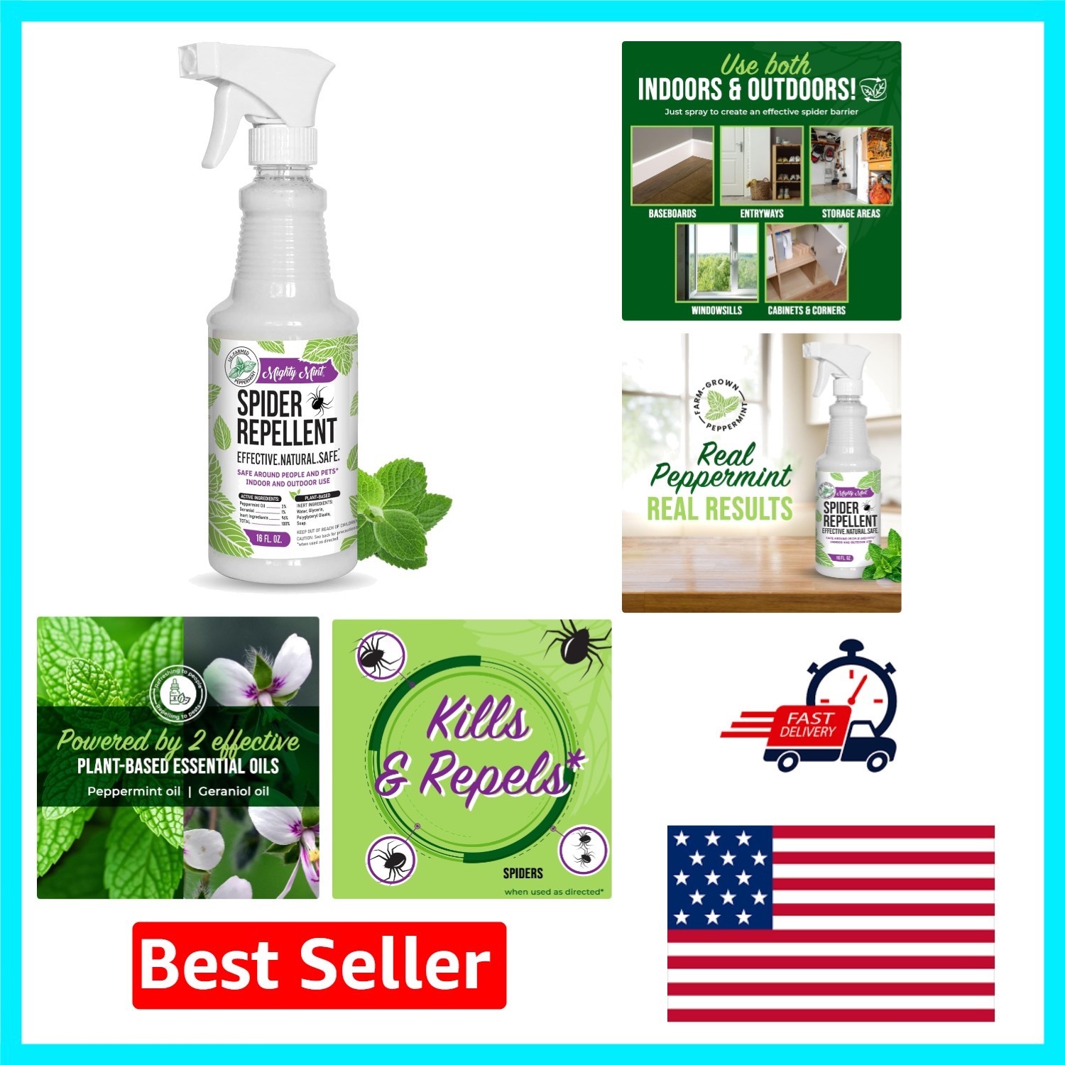 Powerful Mint Oil Bug Spray – 16 oz Natural Repellent for Spiders and Insects