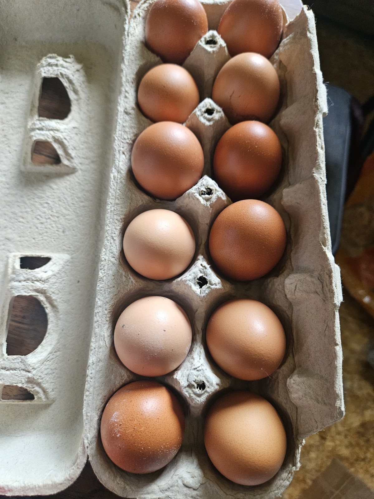 12 Chicken egss fertile barnyard mix