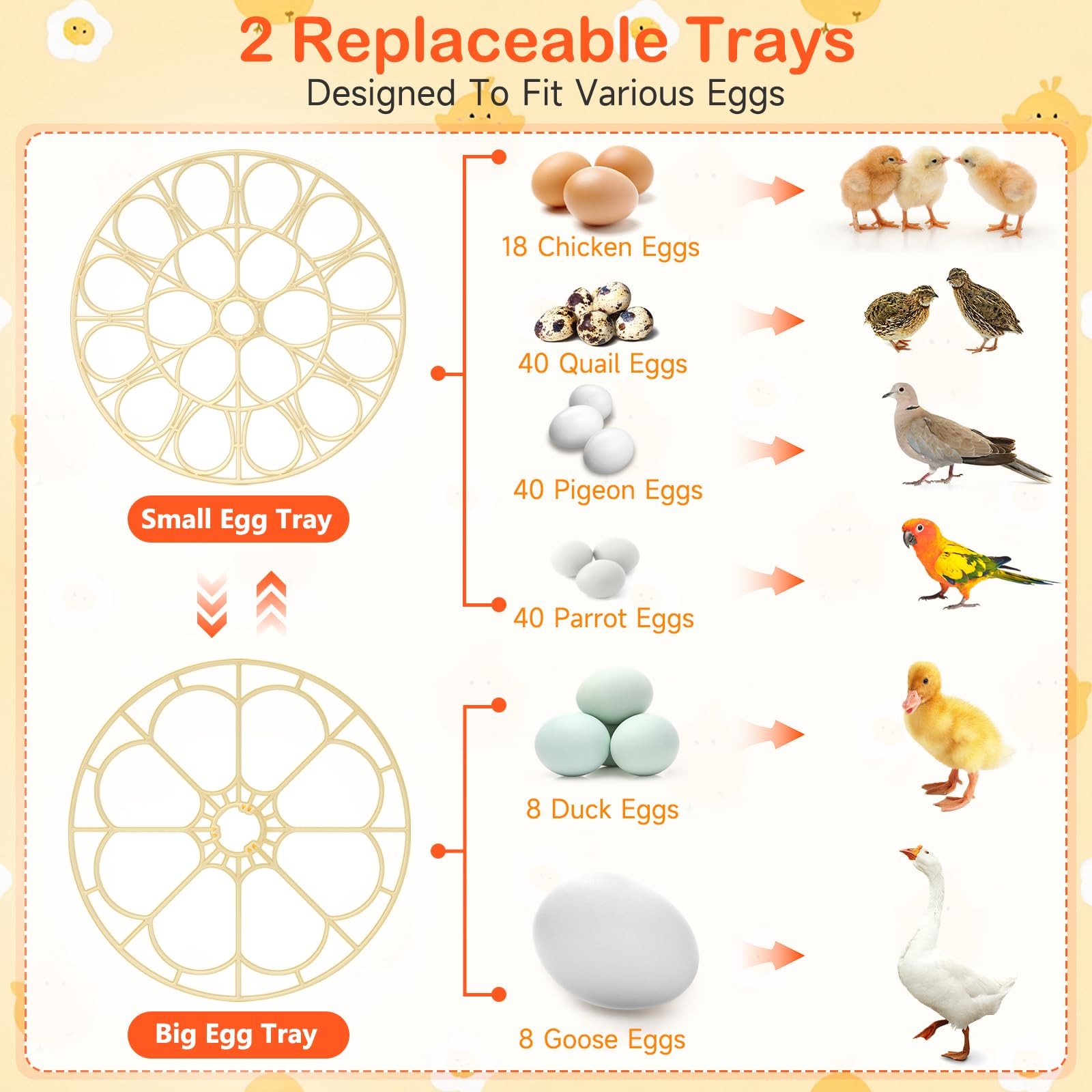 18 Egg Incubators for Hatching Eggs, Automatic Turning and 18H, Orange