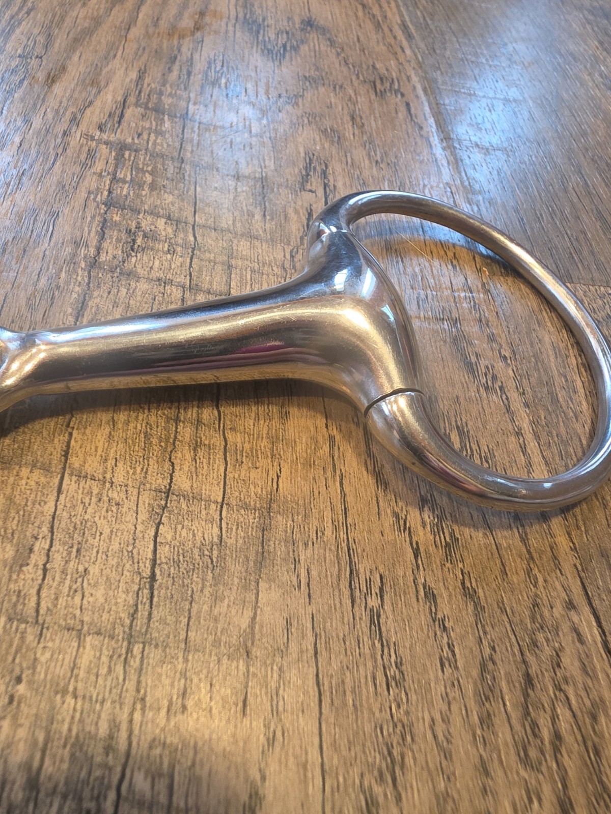 Horse Bit