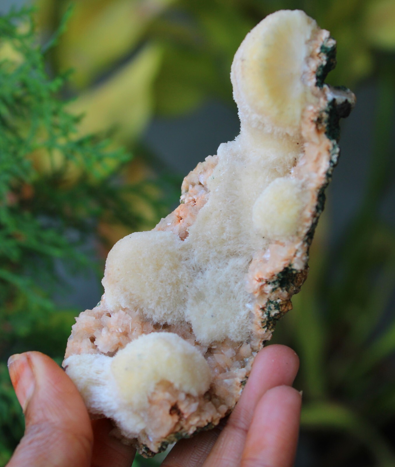 Thomsonite w/ Stilbite Formation On Matrix Minerals Specimen #M11