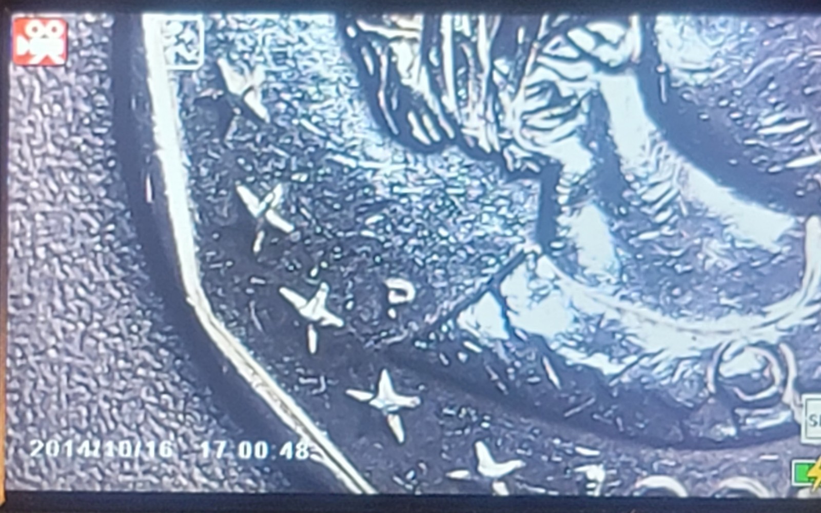 1999-P Susan B Anthony Double Die Strike Error $1 Coin
