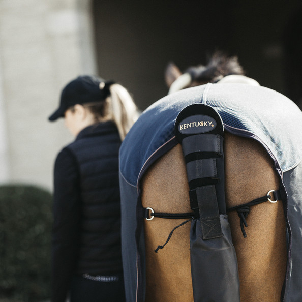 Kentucky Tail Guard / Tail Bag