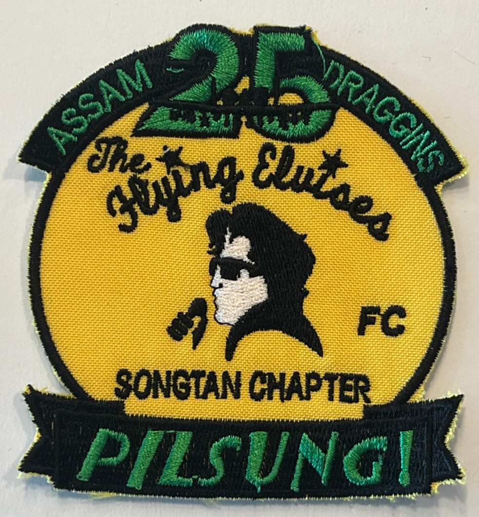 US AIR FORCE PATCH: 25th Fighter Squadron A-10 Warthog Osan AB, South Korea