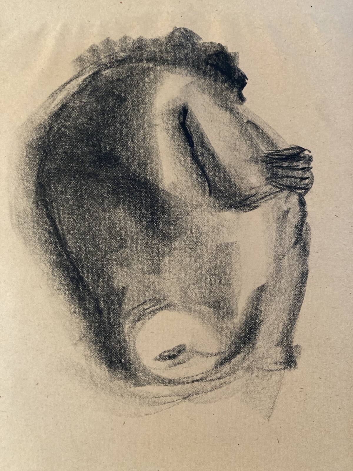 Very Nice Drawing Charcoal Paper Monkey Baboon Portrait Animal 1950 to Identify