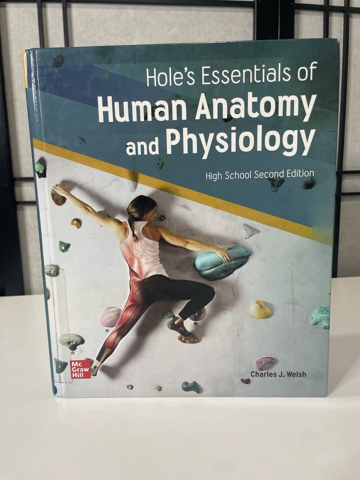 Hole's Essentials of Anatomy and Physiology High School 2nd Edition by Welsh