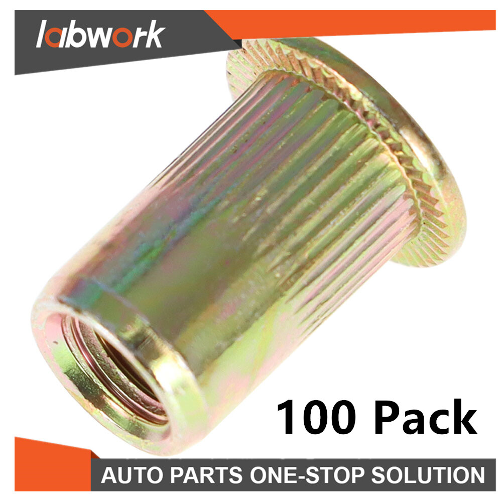 Labwork Flat Head Rivnut Threaded Insert Nut Carbon Steel Nut 100 Pack M6 Metric