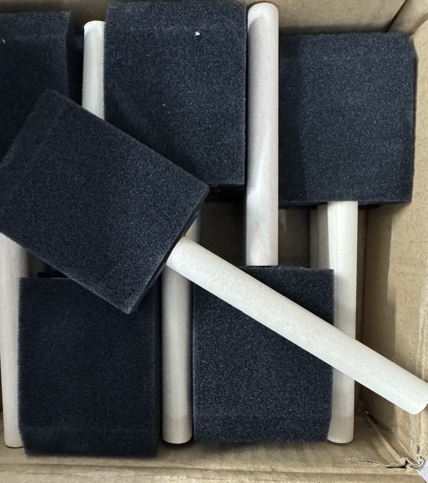 Project Source 2” Foam Brush Set 20 Pack Paint Stain Craft Wood Disposable New