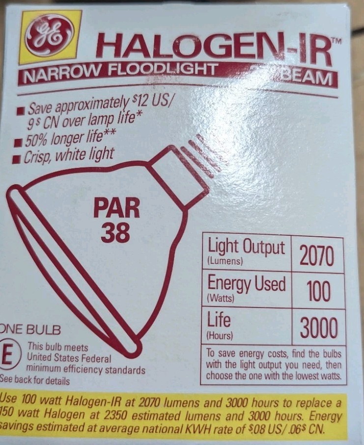 GE 18631 Par38 Floodlight