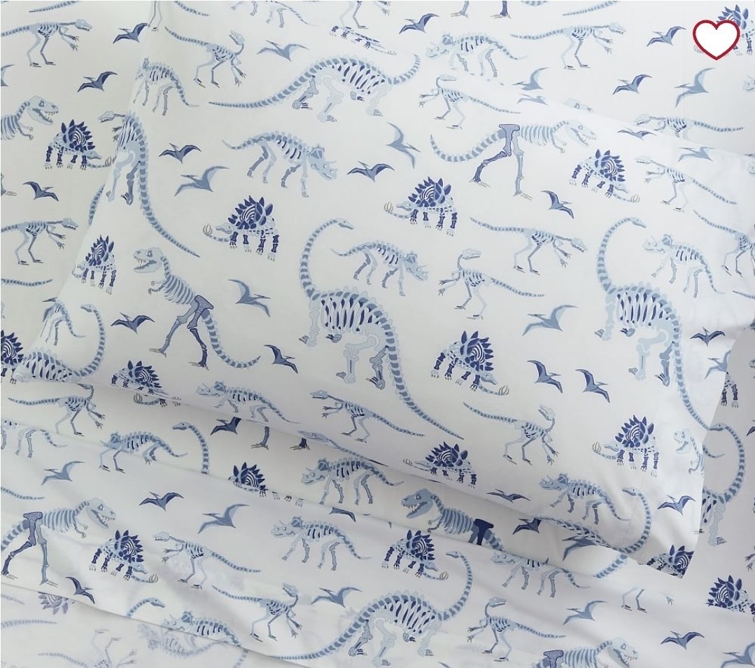 Pottery Barn Kids Dinosaur Dino Bones Standard Pillowcase Sham