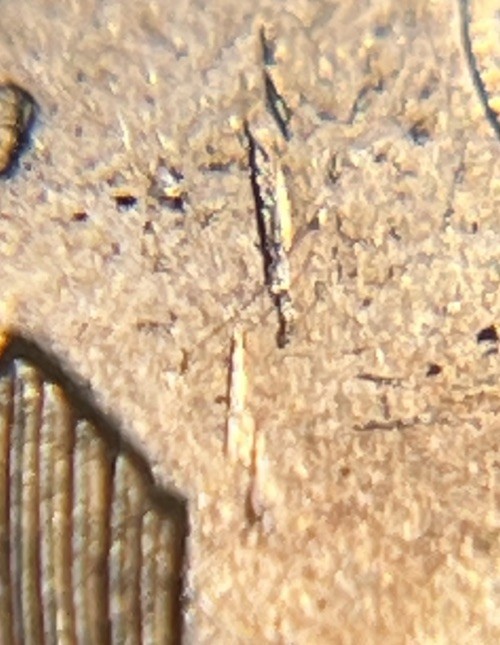 1956 D/D Wheat Penny Errors DDO DDR Die Clash D Over D Uncirculated #2