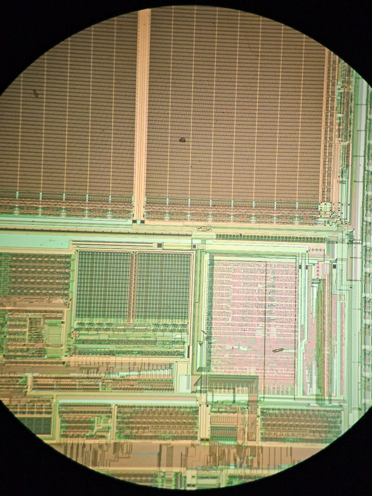 microscope slides