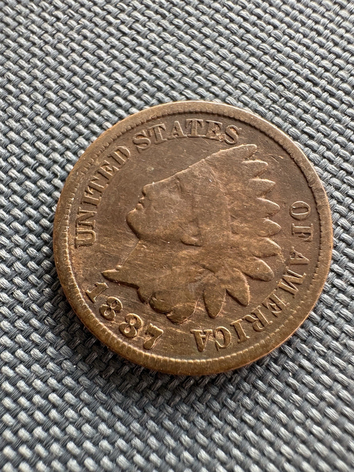 Indian Head Penny | Average Circulated | U.S. Coin | Random Year | COA