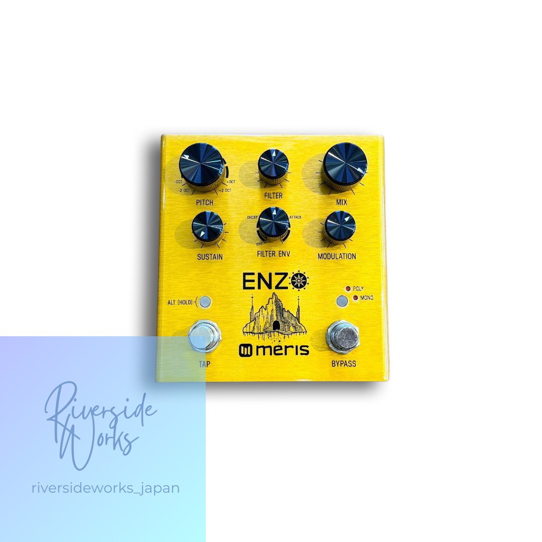 Meris ENZO Multi-Voice Synthesizer Pedal