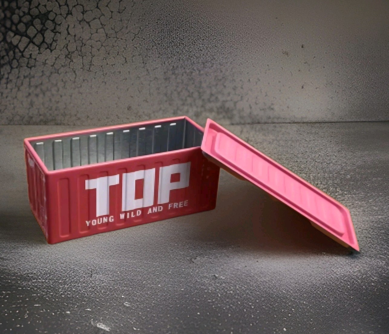 Mini Storage Box Creative " Container" Style -  Desktop Organizer w/lid - Metal