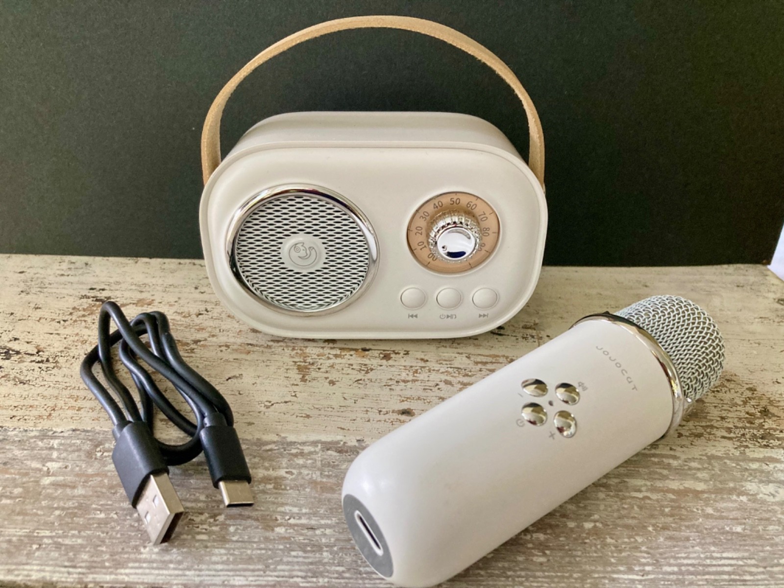 Jojocat karaoke microphone and bluetooth speaker set with charging cable