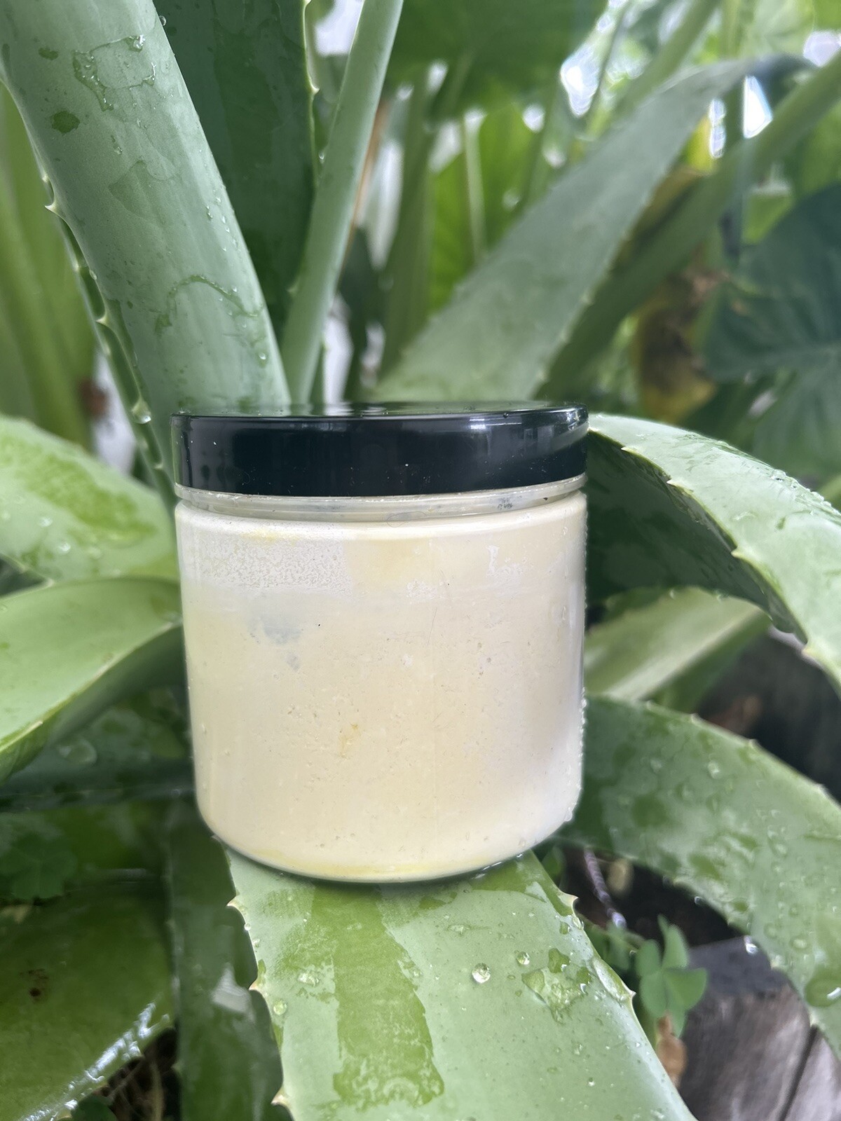 Organic Sunscreen