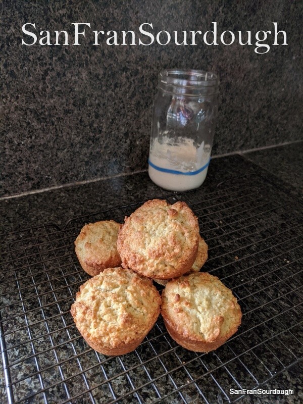Active Dried Sourdough Starter San Francisco Yeast Bacteria baking bread