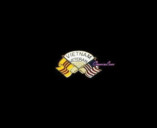 VN Veteran Wavy Flags + a custom promo pin