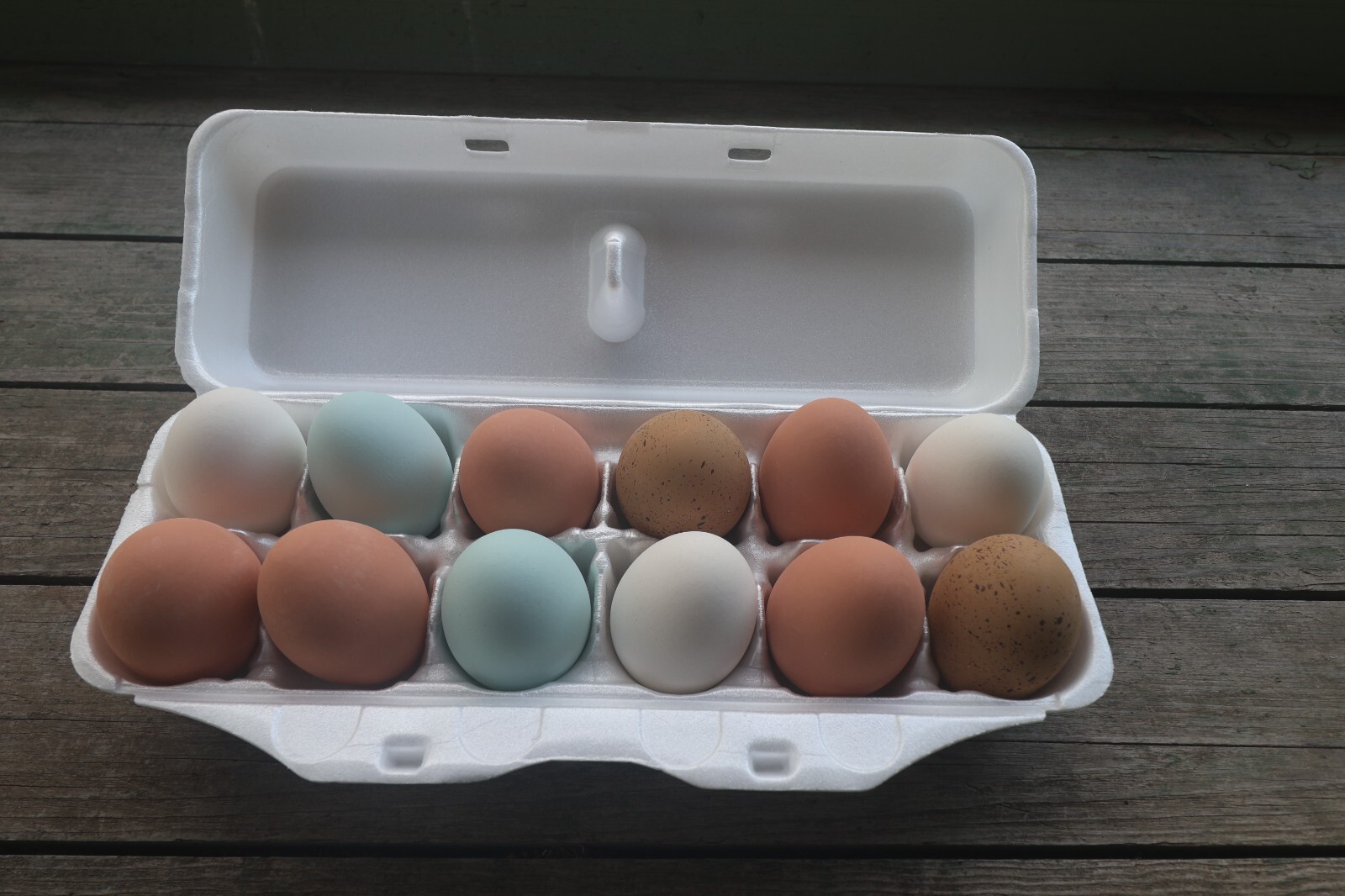 Styrofoam Bulk Egg Cartons (250 pack) Carton White