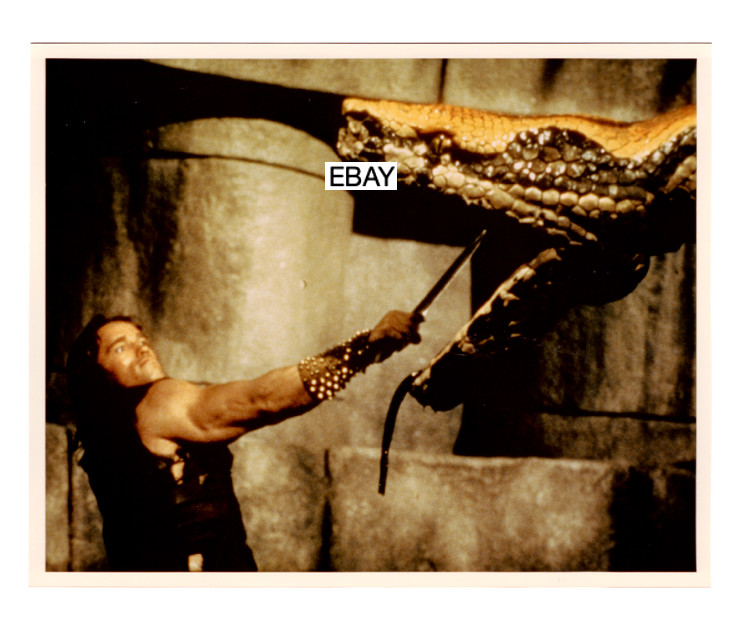 SALE: CONAN THE BARBARIAN 1982 MOVIE PHOTO #1 ARNOLD SCHWARZENEGGER R E HOWARD
