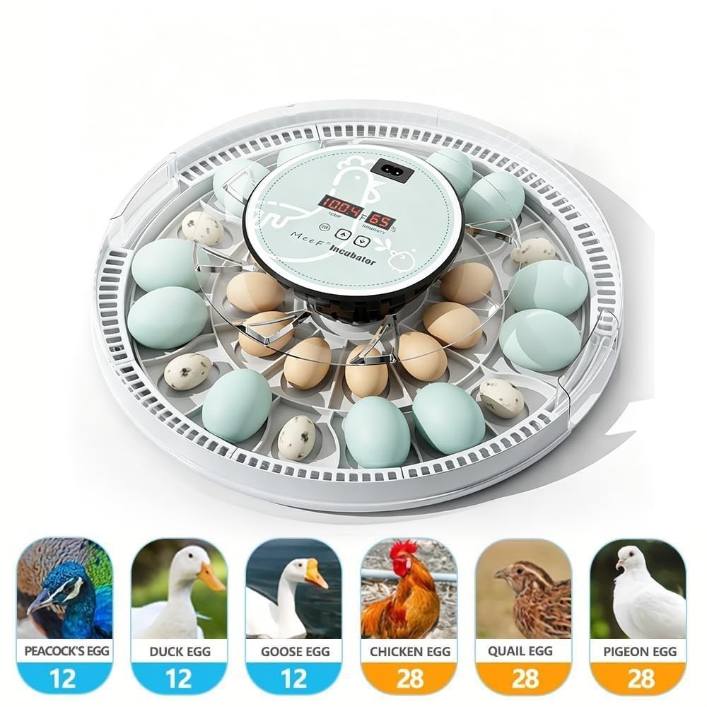 Egg Incubator for Hatching 28 Eggs, Auto Flip, Independent Atomizing Humidifier,