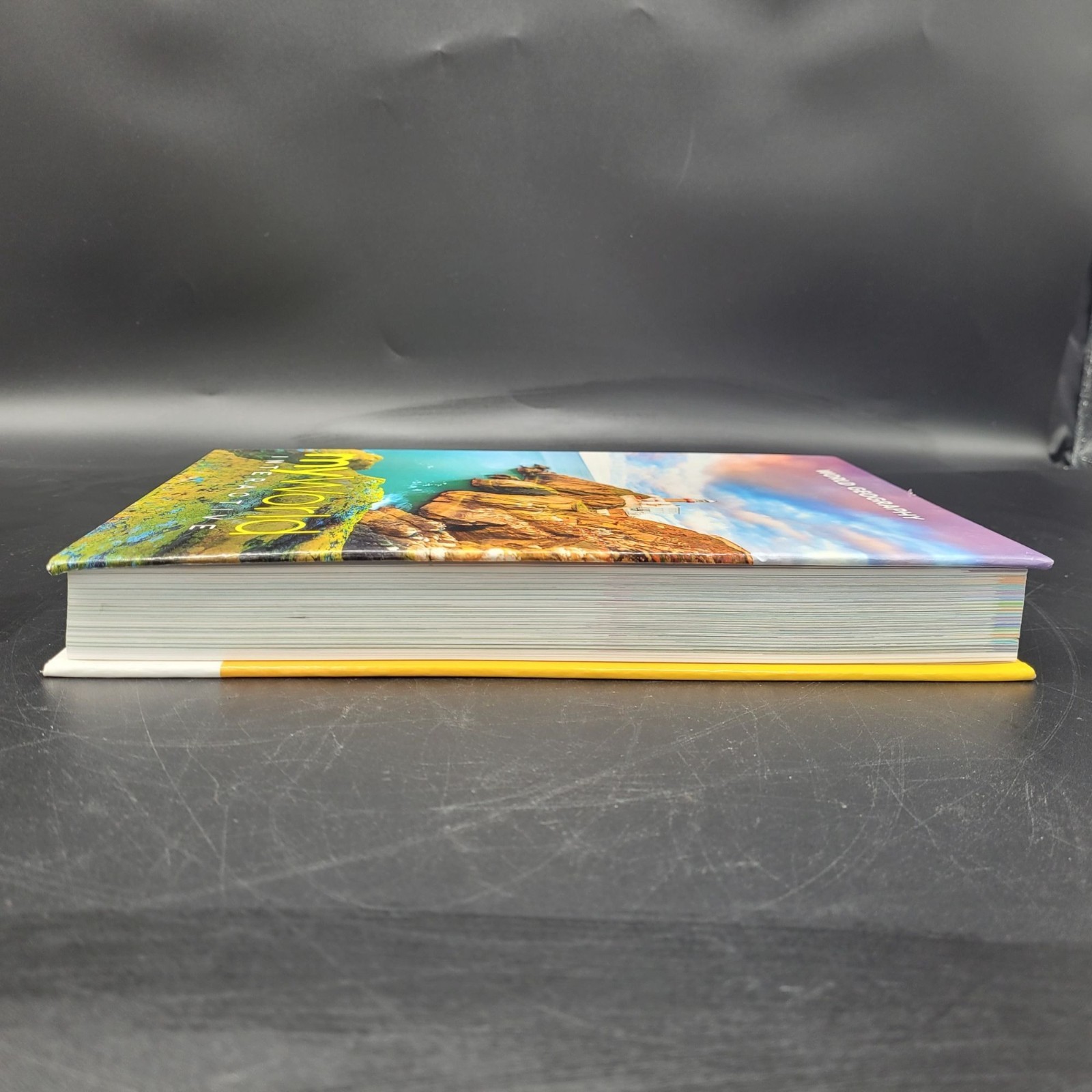 MY WORLD INTERACTIVE World Geography Middle School Textbook Multiple Available