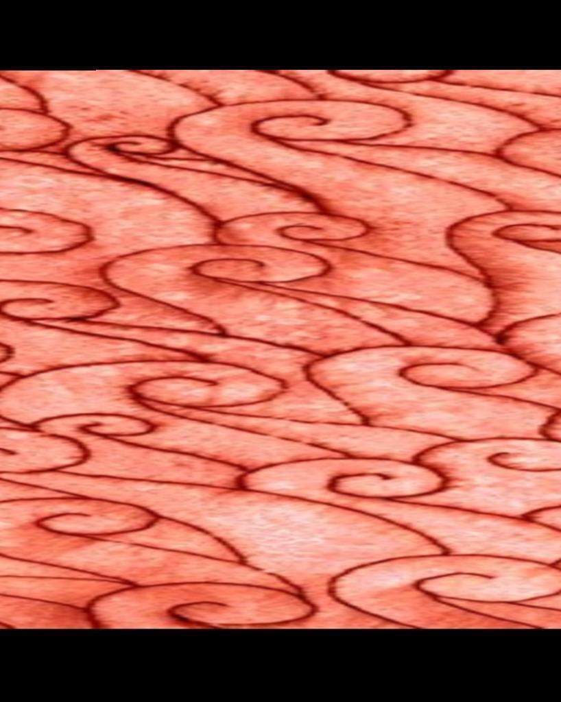 Quilting Treasures ~ She Sews Sea Shells ~1/2 yard~ Salmon #25806 C ~100% Cotton