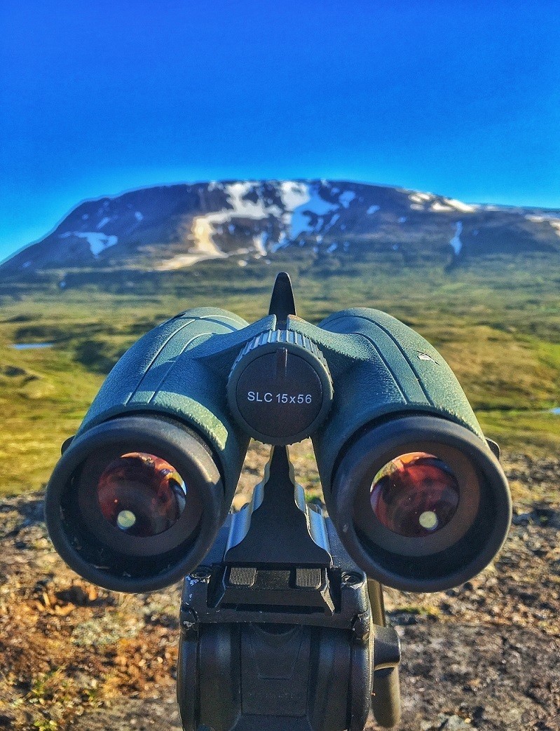 Swarovski 15x56 SLC Binoculars Elite Optics Birdwatching