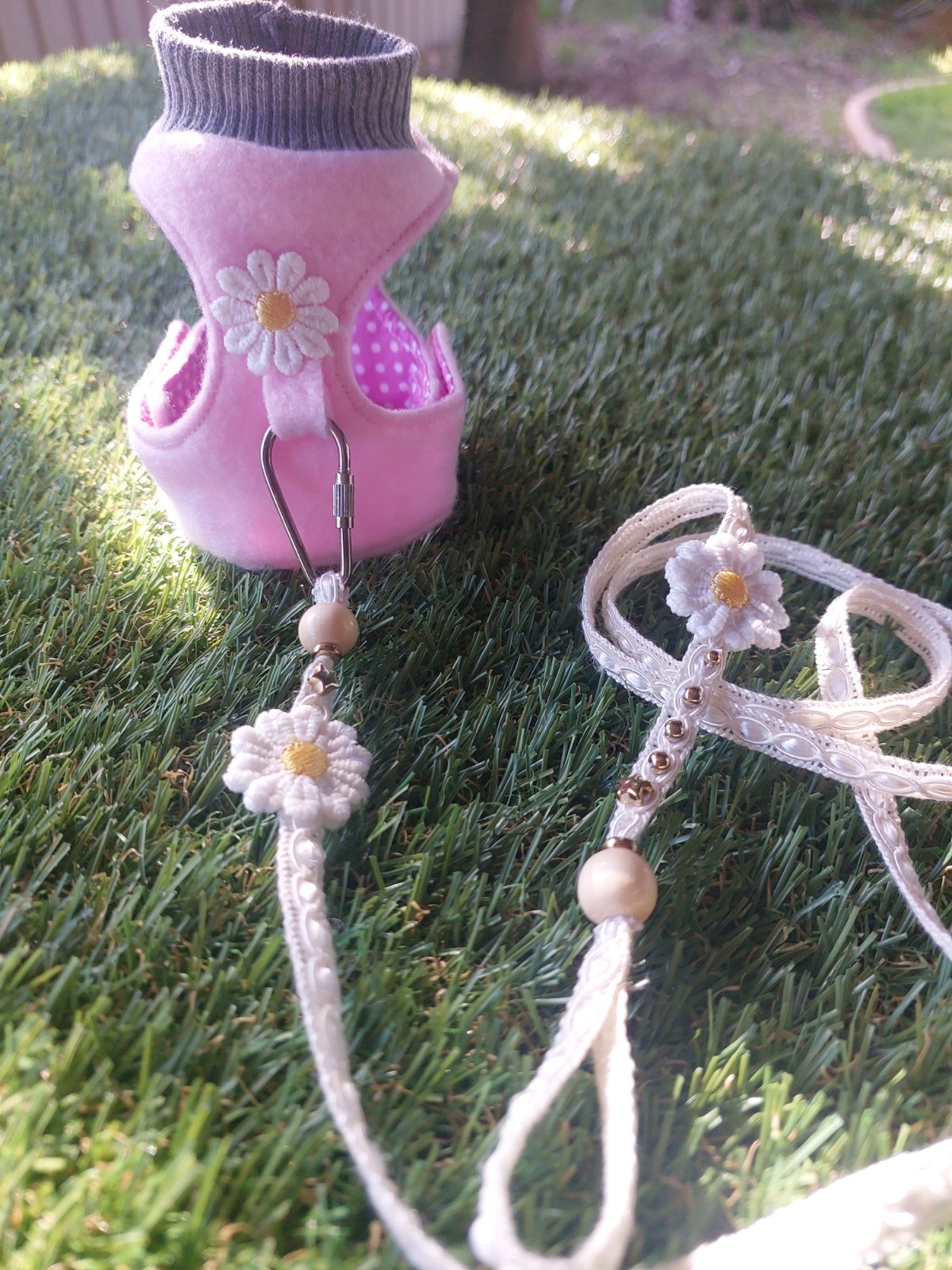 Bird Daisy Harness And Lead