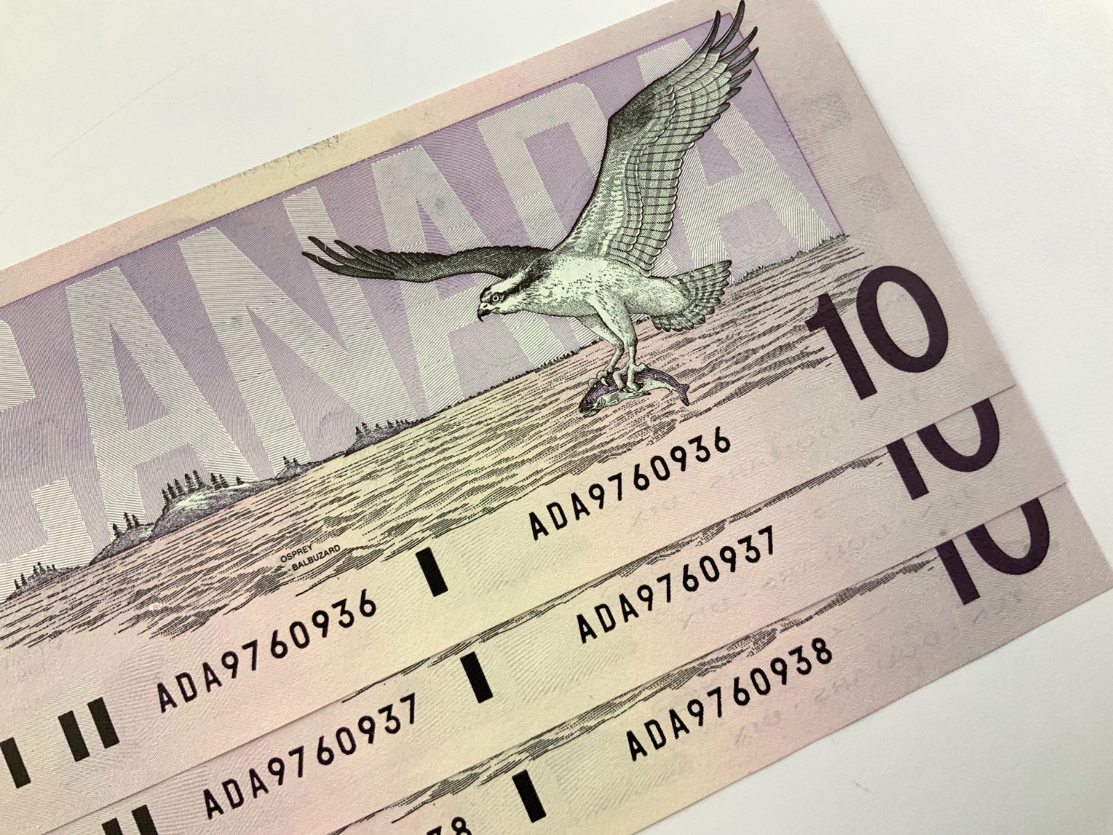 3 Consecutive 1989 Canada 10 Dollars Uncirculated Banknotes ADA Prefix II729