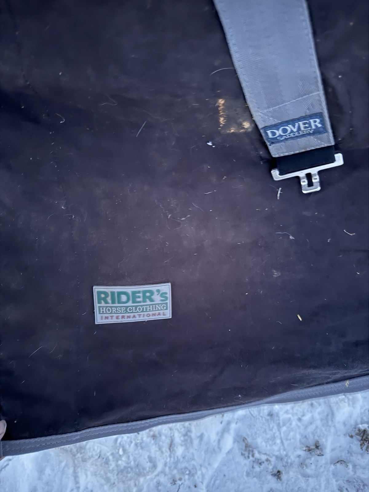 Dover Saddlery Rider's Horse Clothing Black with Gray Horse Blanket