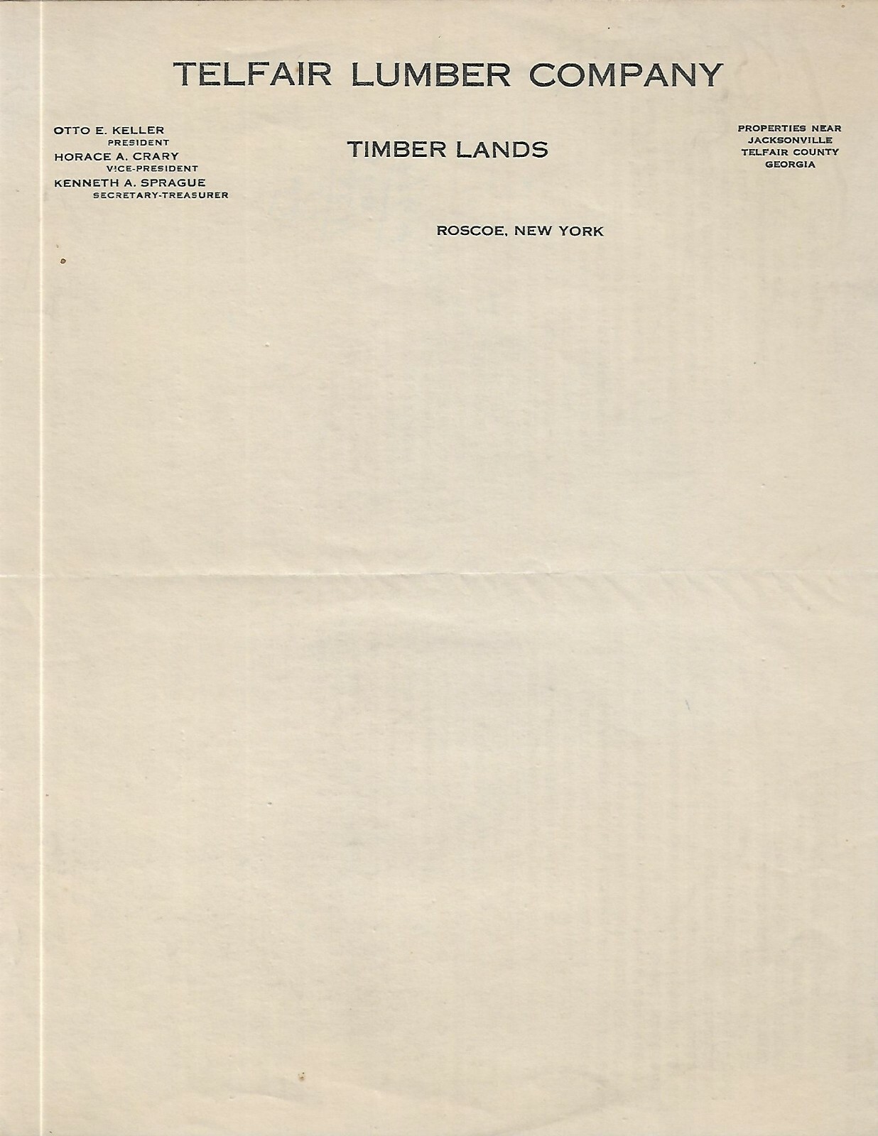 Old Advertising Letterhead Telfair Lumber Co Timber Lanes Roscoe NY Georgia