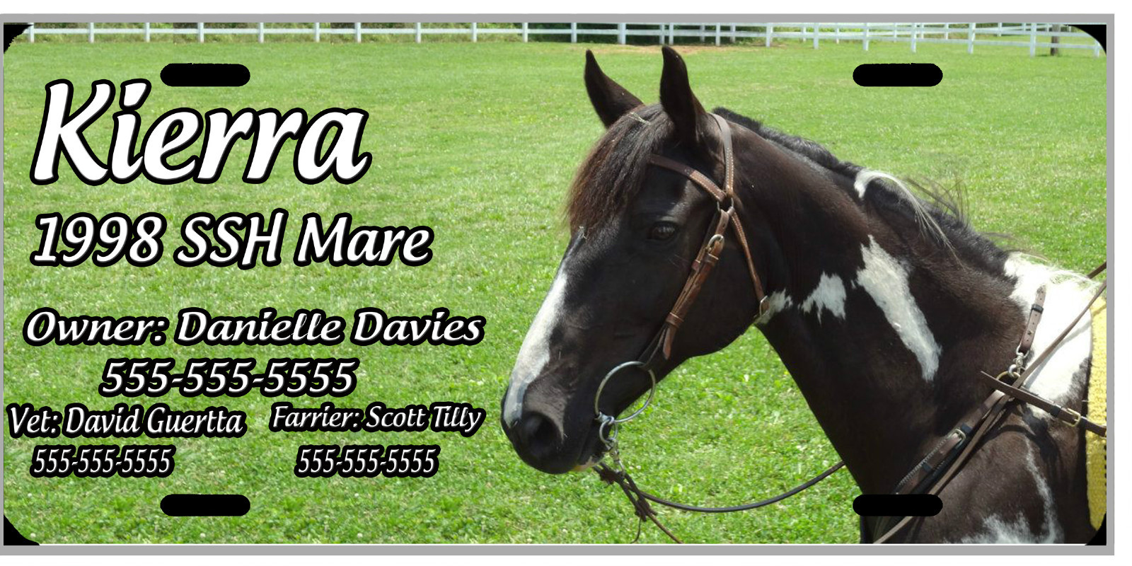 L@@K! Custom Photo License Plate or Stall Sign - From YOUR Photo!