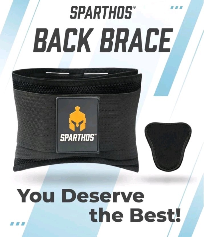 Sparthos Large Back Brace For Lower Back Pain - Relief From Sciatica, Hernia