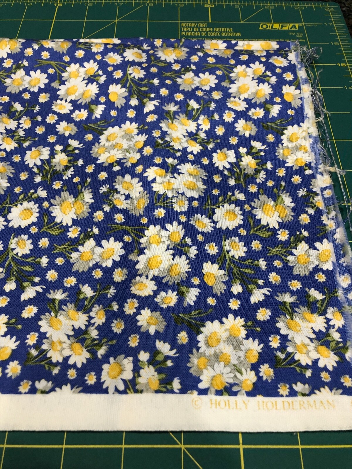 QUILTER'S QUALITY COTTON BTHY