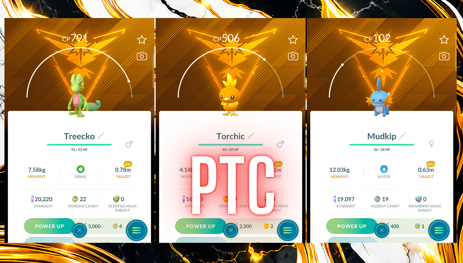 Pokémon | Torchic, Mudkip, Treecko XXL Team Instinc BG | mini PTC | Go