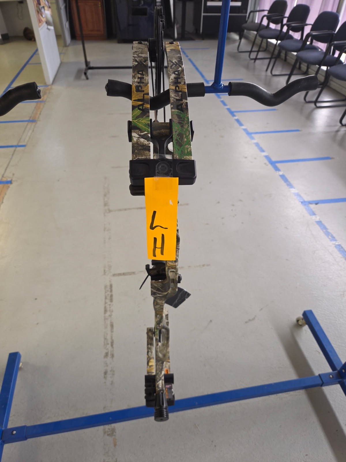 Hoyt Alpha X 33