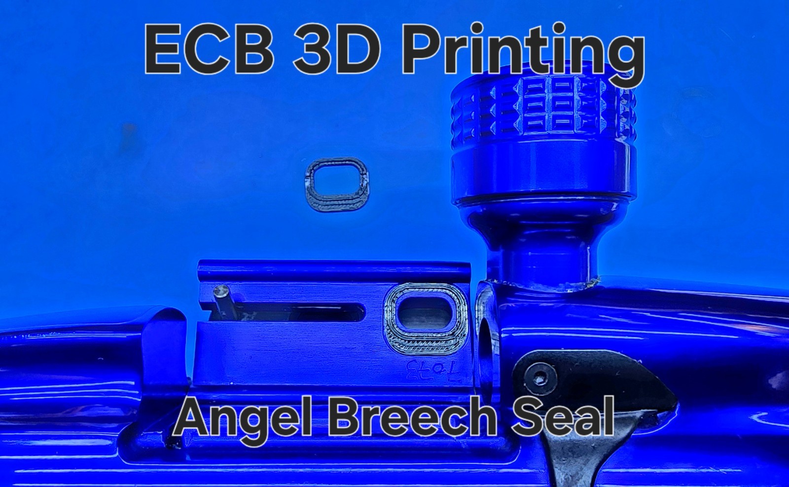 ECB 3D Printing Angel Breech Seal
