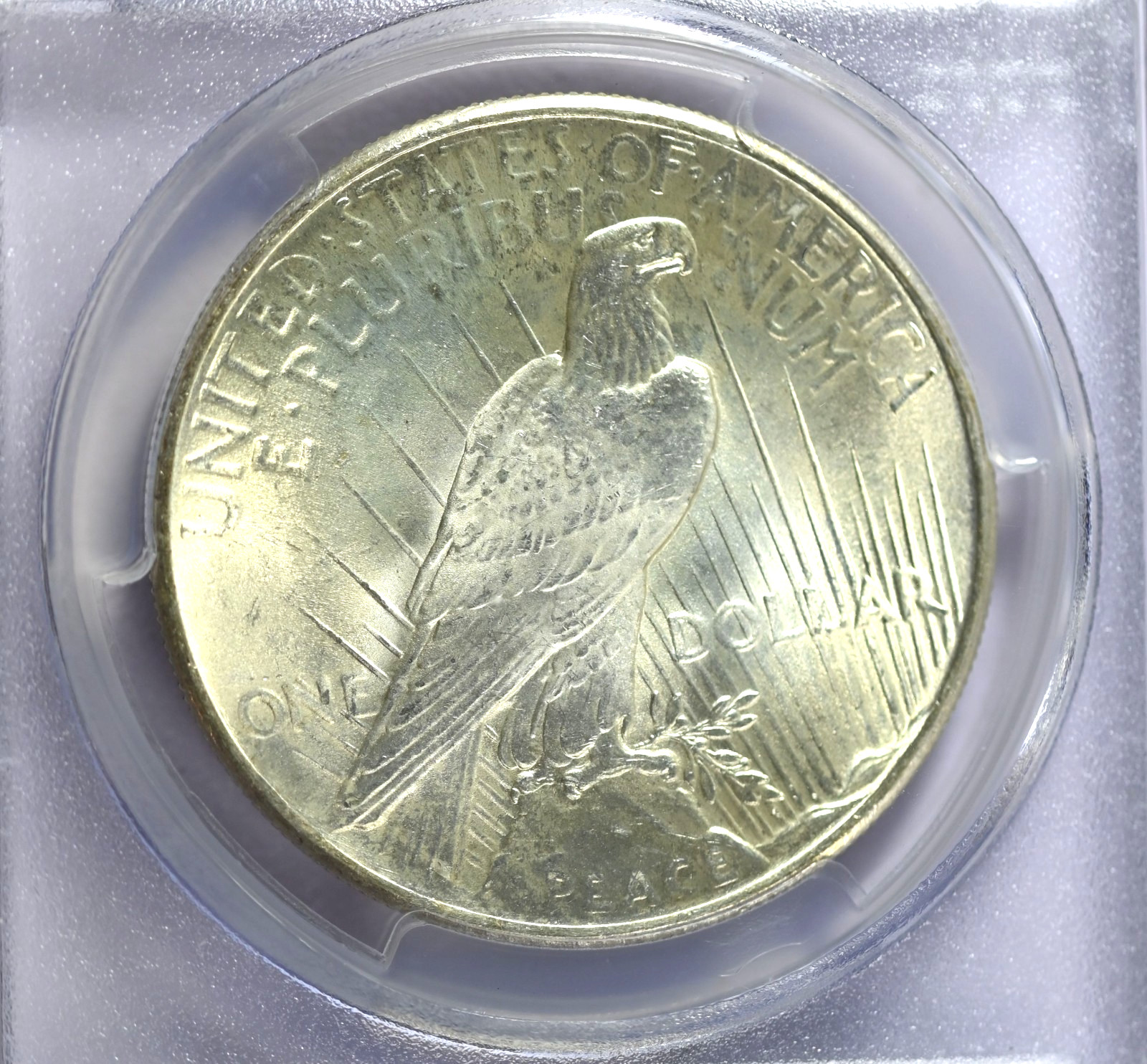1925 PCGS MS65+ Peace Silver Dollar