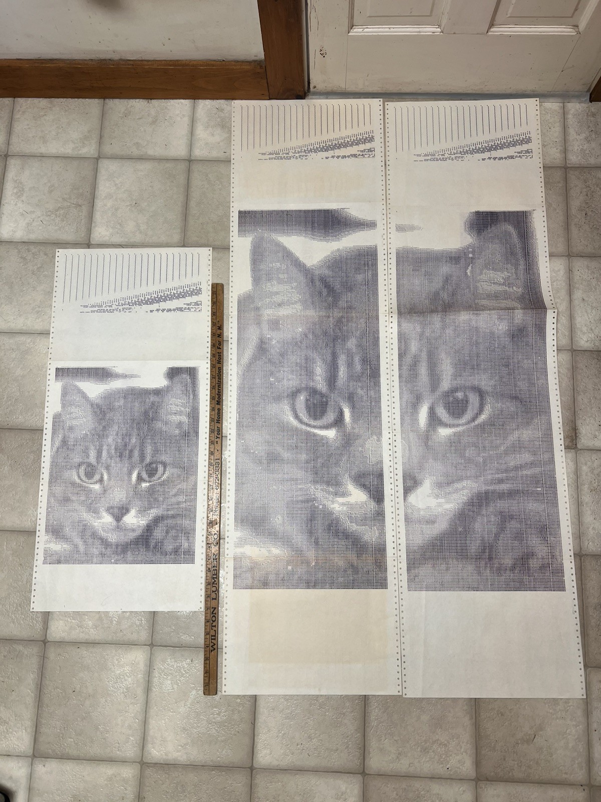 Princeton University 1972 IBM "EBCDIC" Printer Art  CATS Samuel P. Harbison