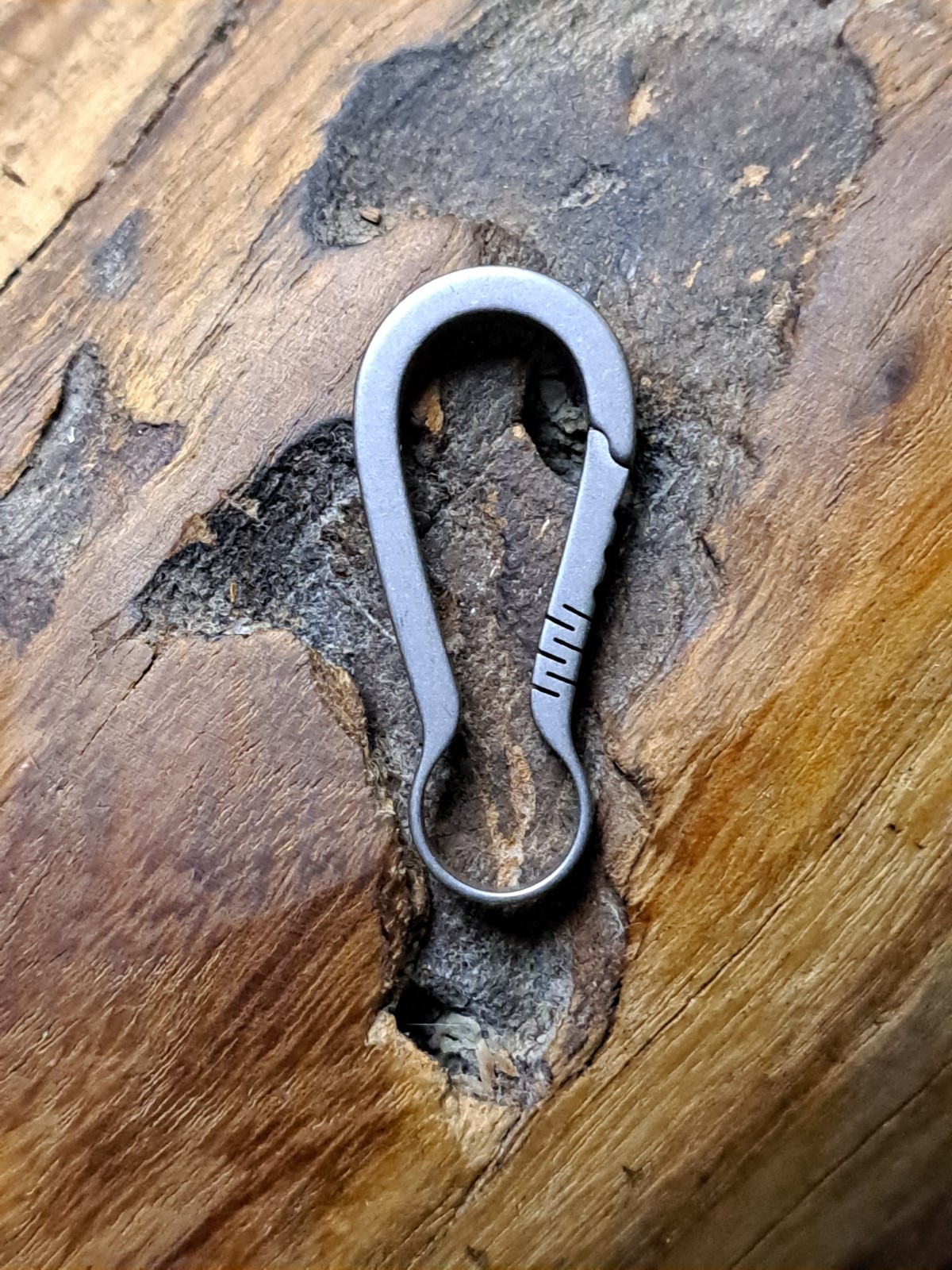 Pro Mini Series Titanium Carabiner