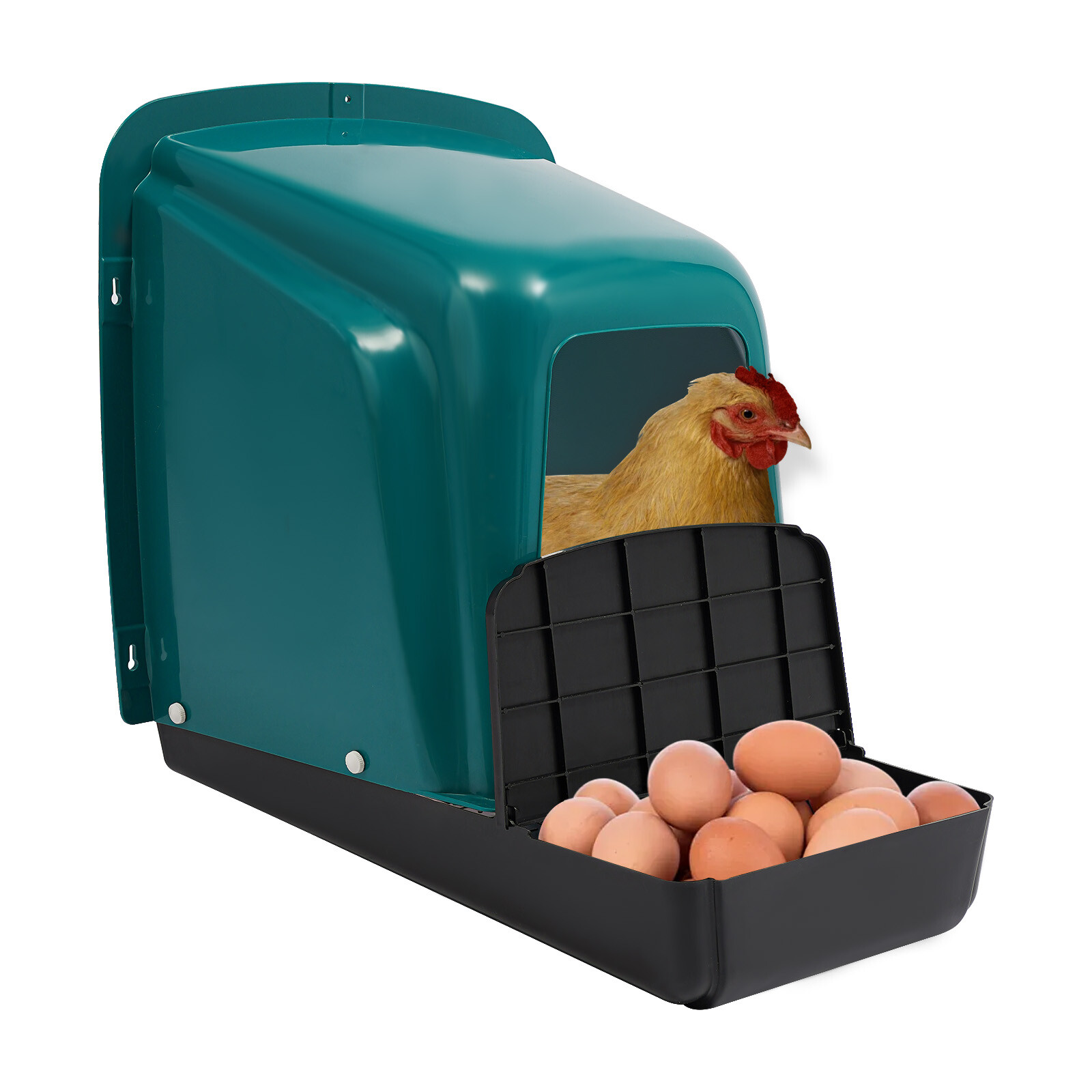Plastic Nesting Boxes Eggs Chicken Nesting Box Case For Chicken Coops Laying