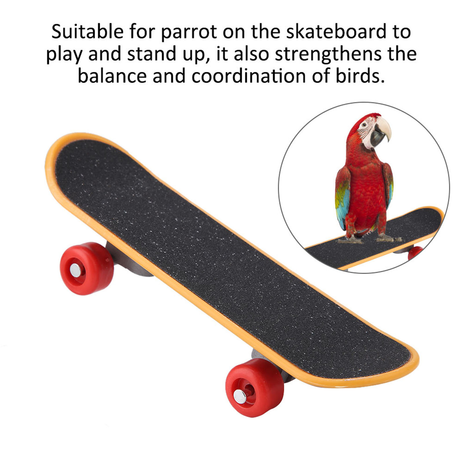 1Pc Skateboard Perch Stand Bird Funny Training Playing Interaction Toy♡