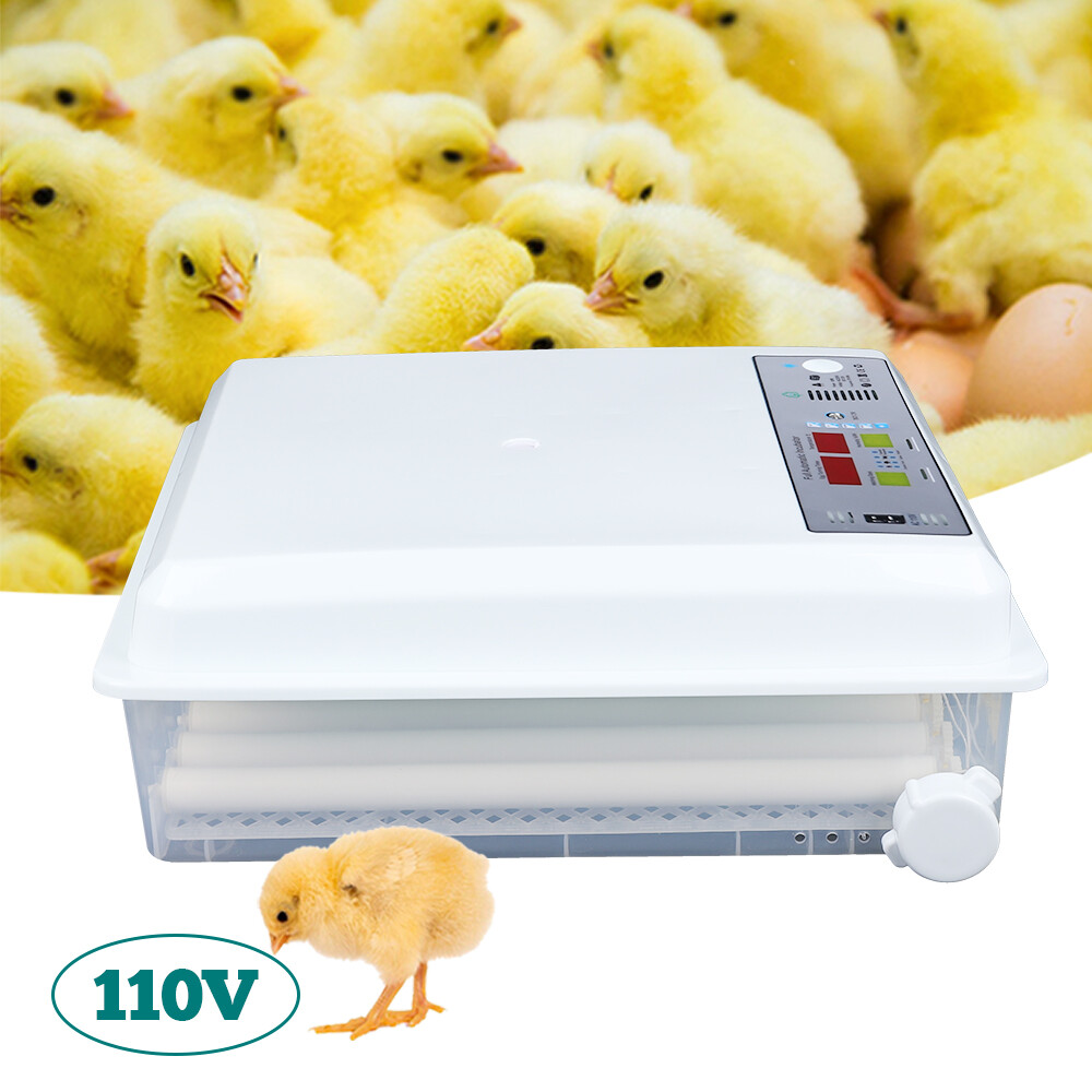 64-Egg Automatic Incubator Dual Power 110V/12V Digital Temp Control Auto Turner