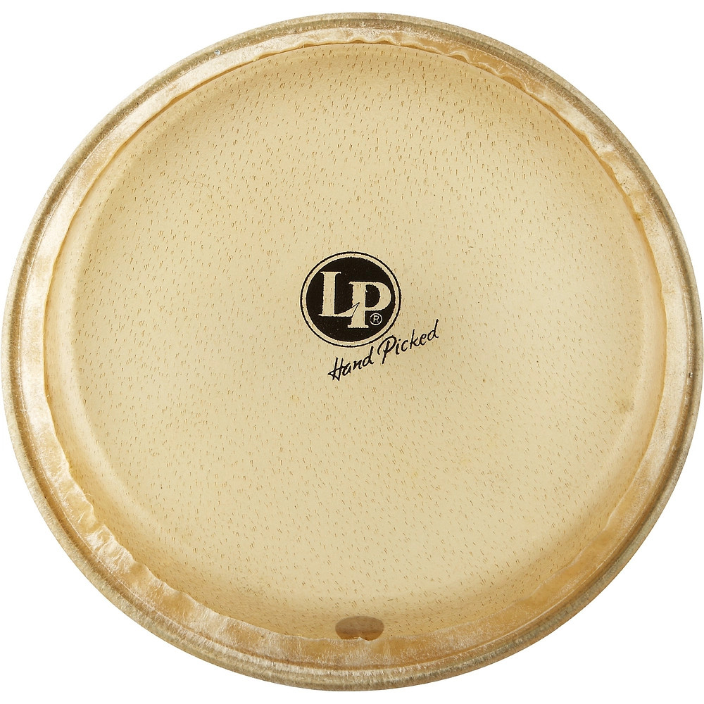 LP LP266B Conga Head LN